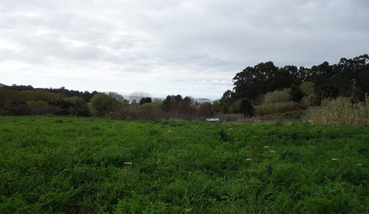 DSC07562