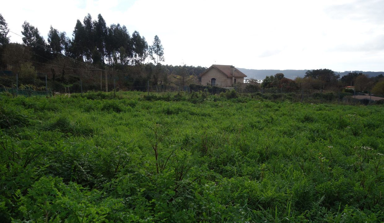 DSC07564