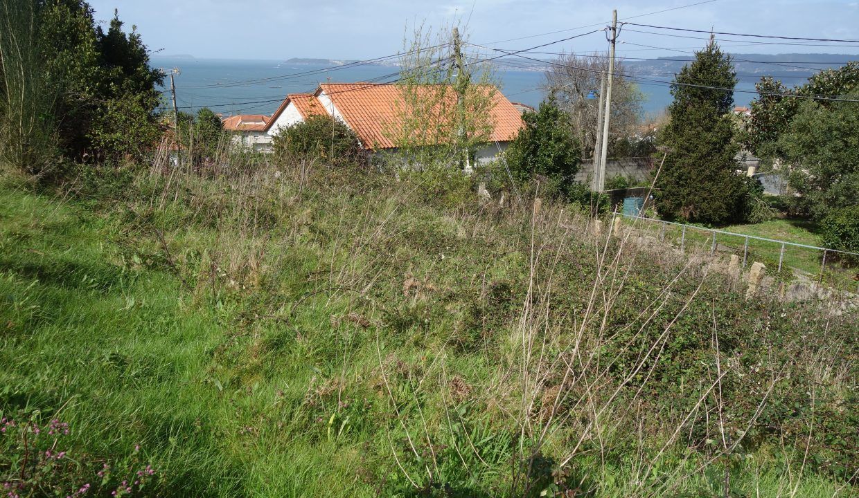 DSC07567
