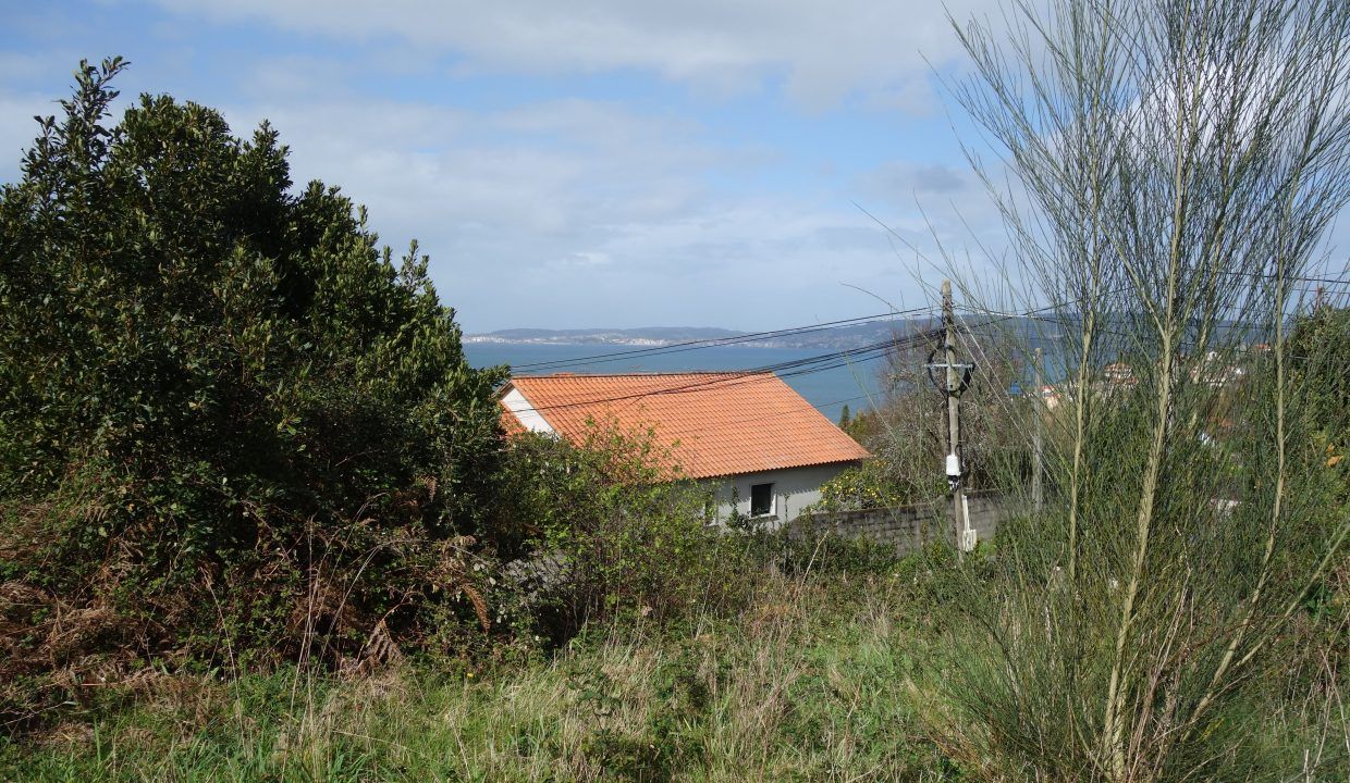 DSC07569