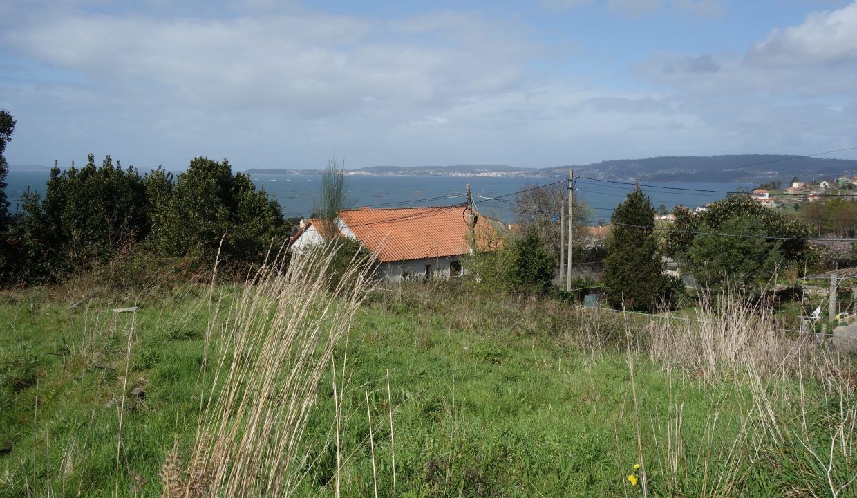 DSC07571