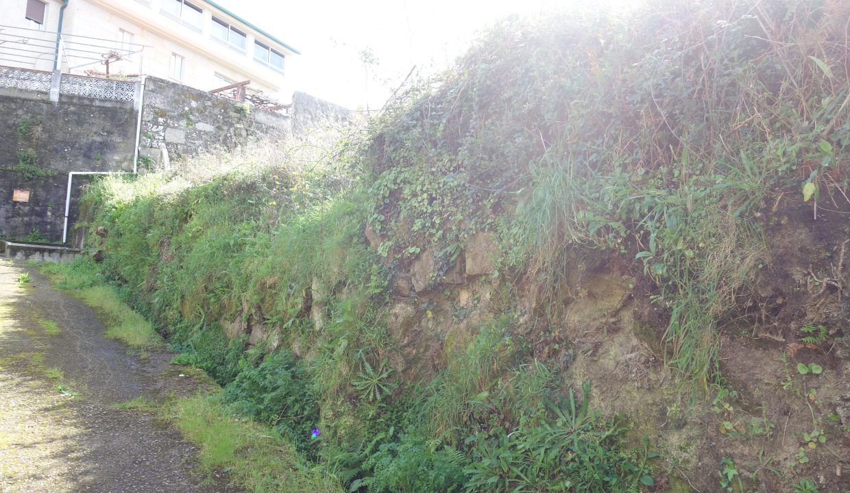 DSC07574