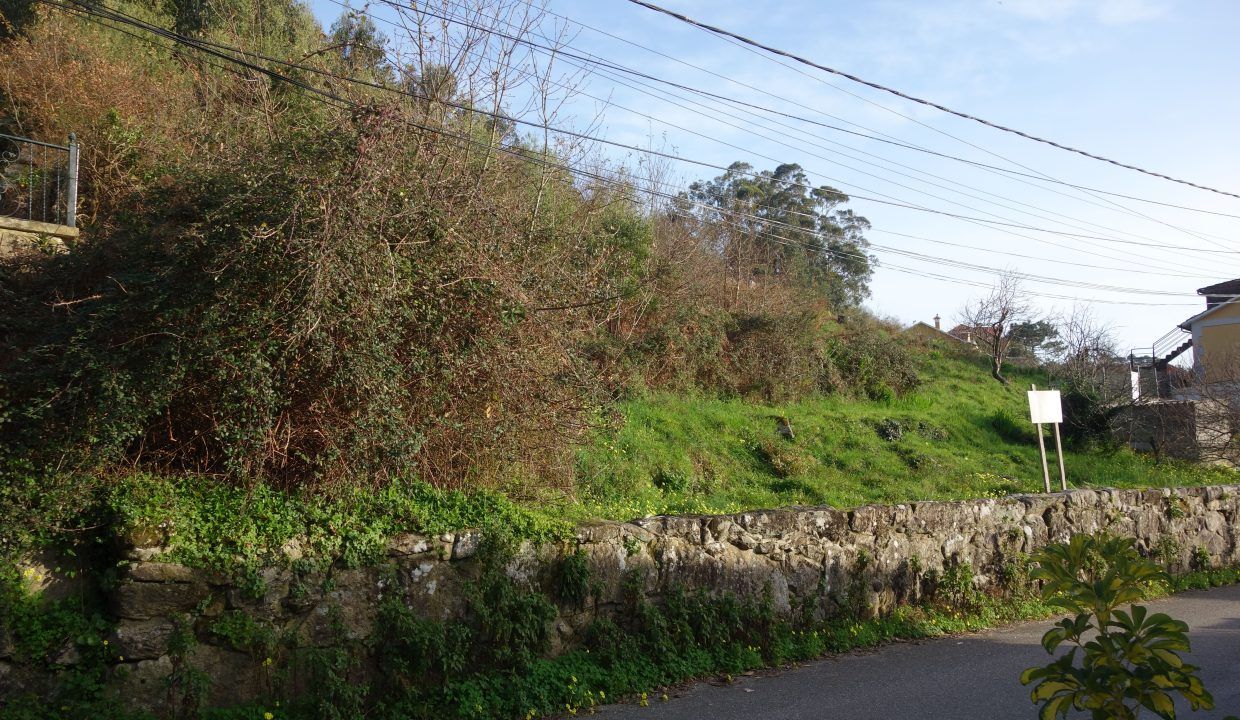 DSC07466