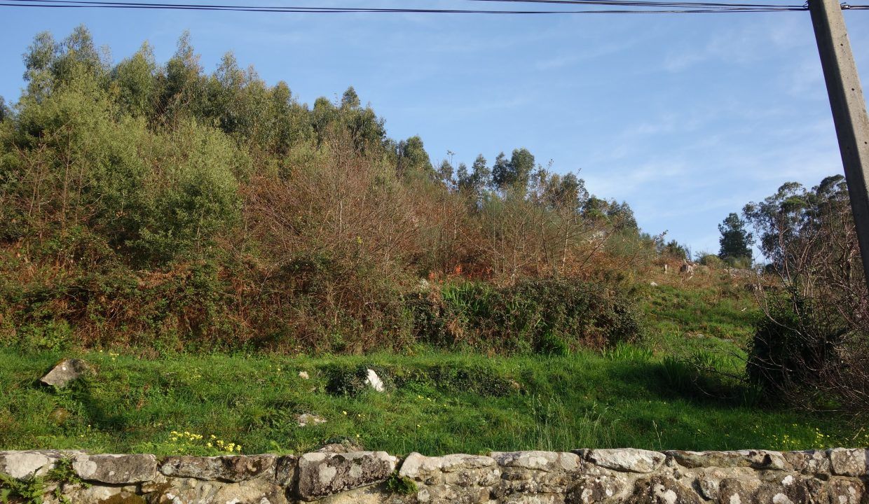 DSC07467