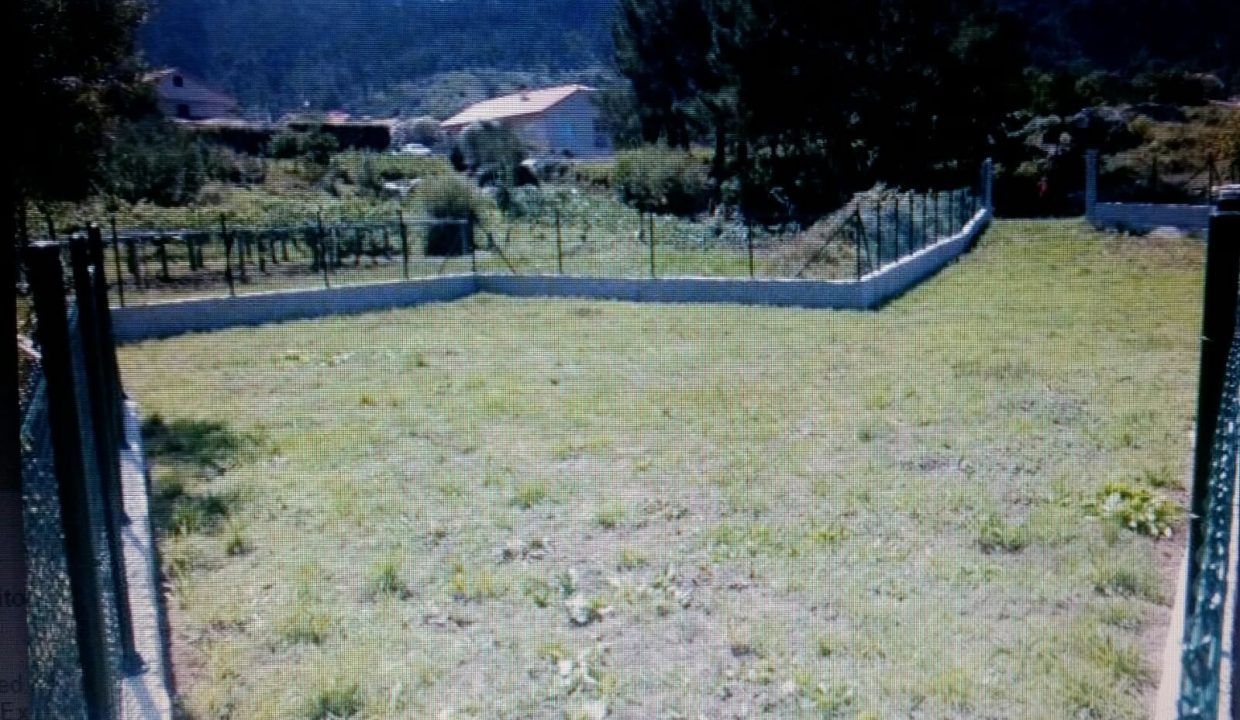 IMG-20160615-WA0001