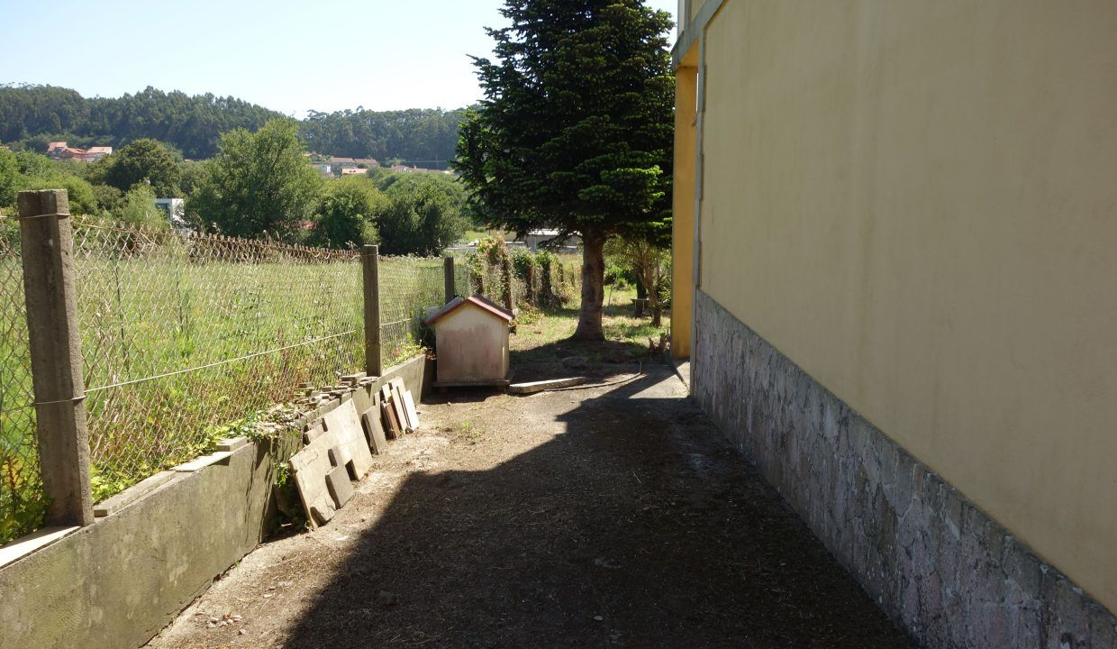 DSC07987