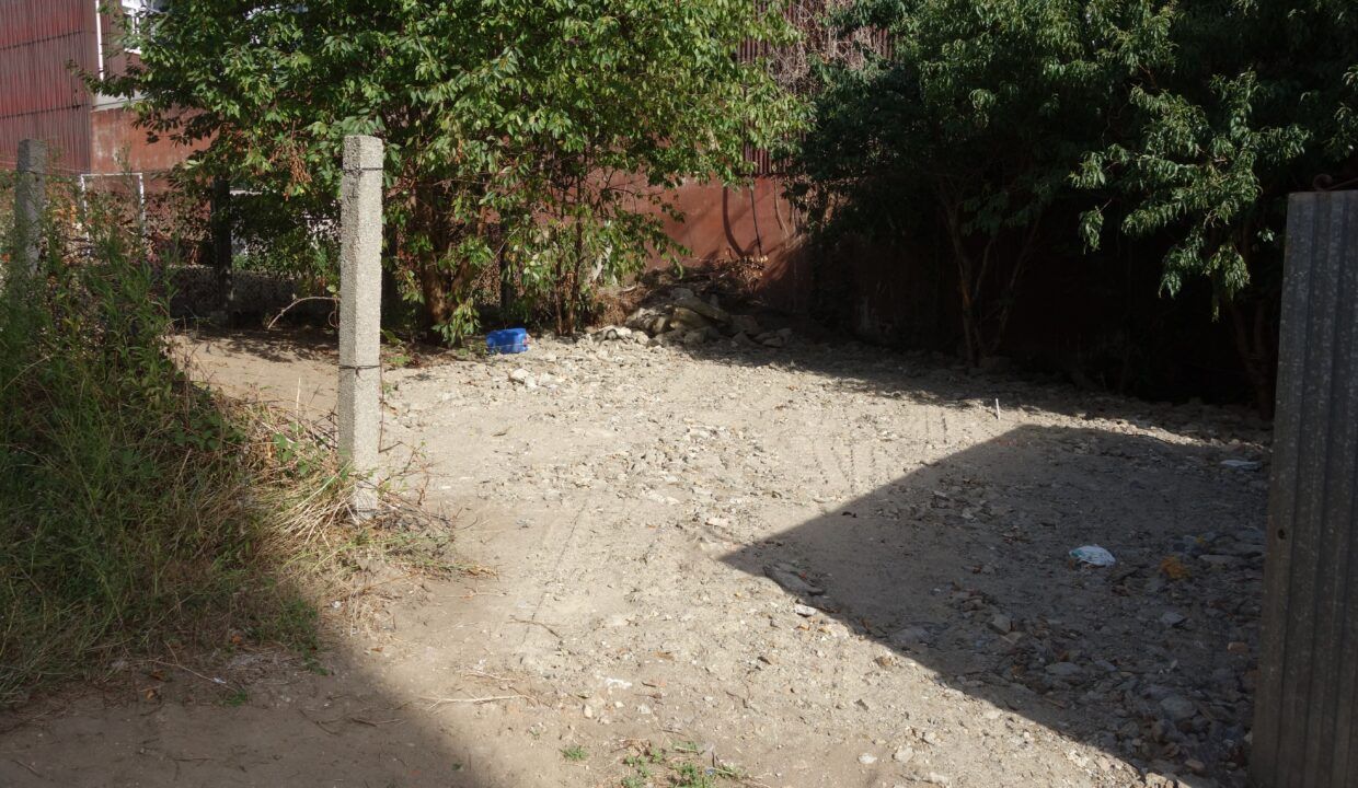 DSC08221