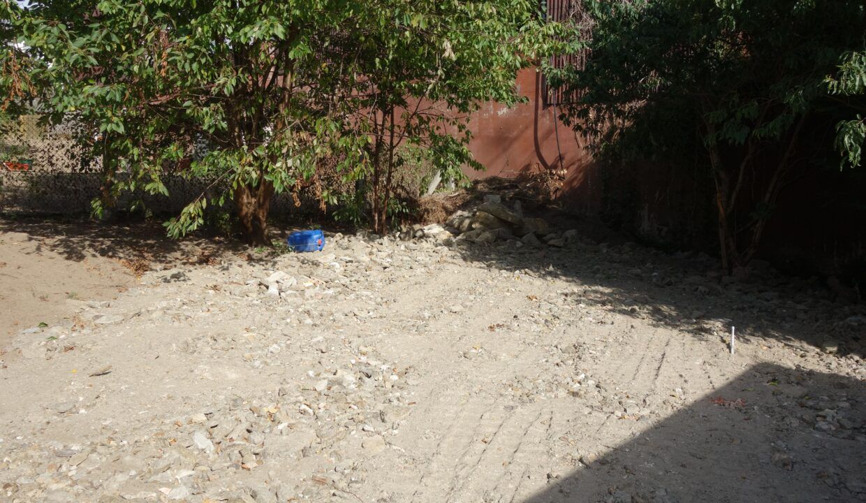 DSC08223
