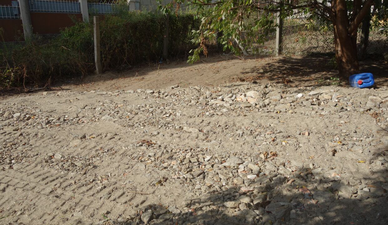 DSC08224