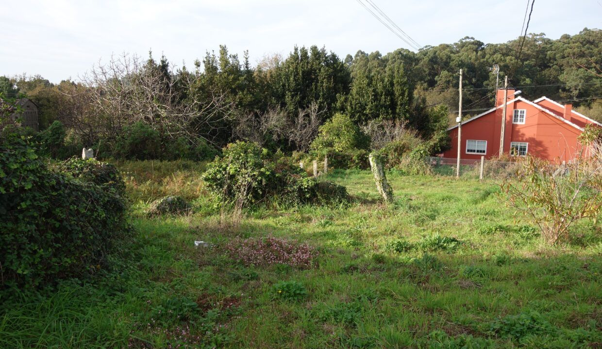 DSC08279
