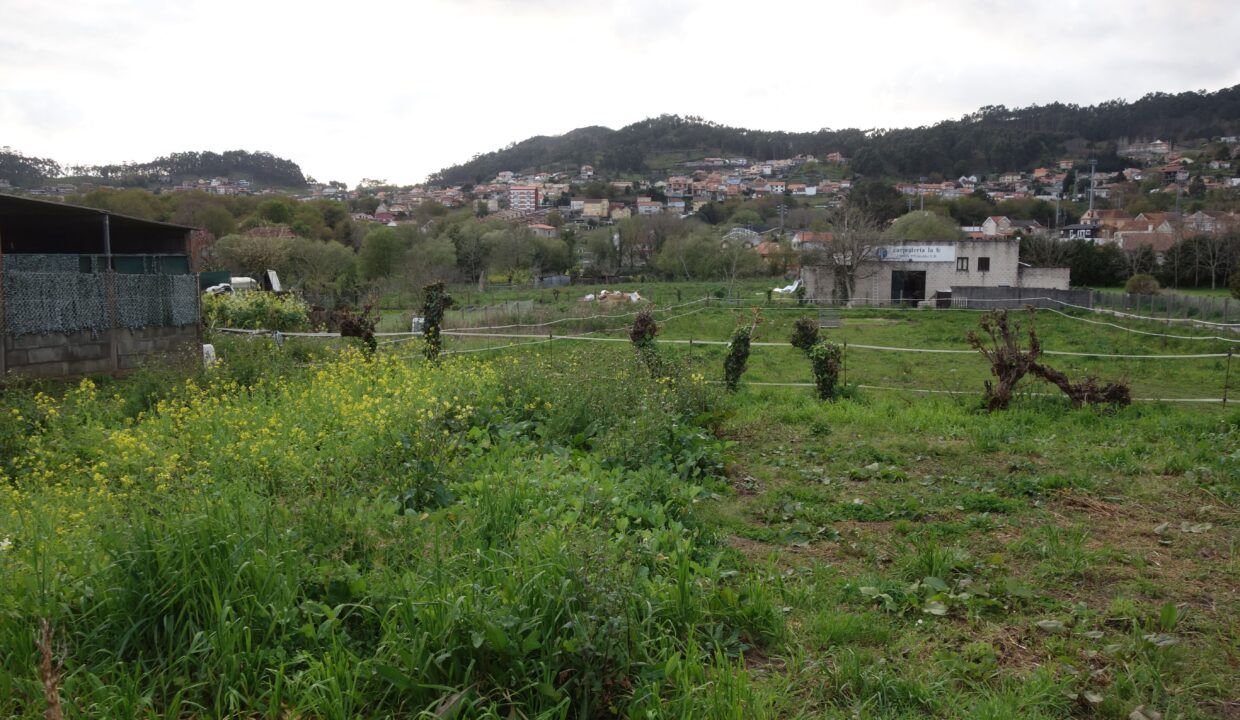 DSC09016