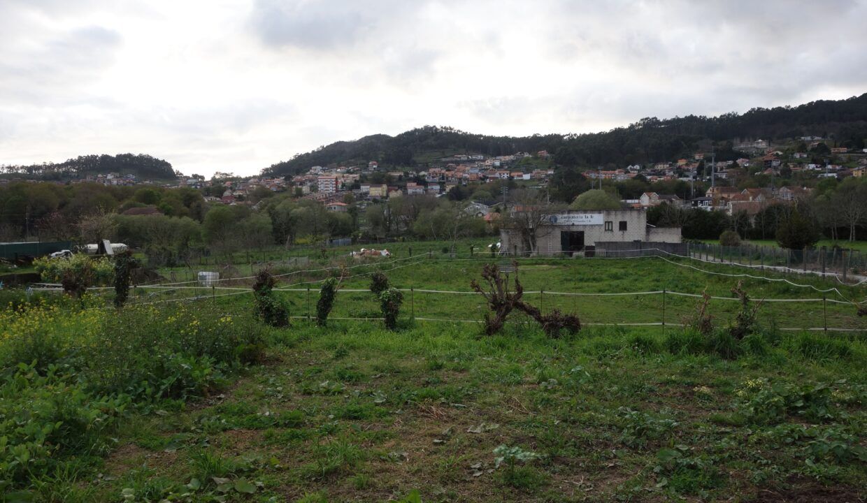DSC09017