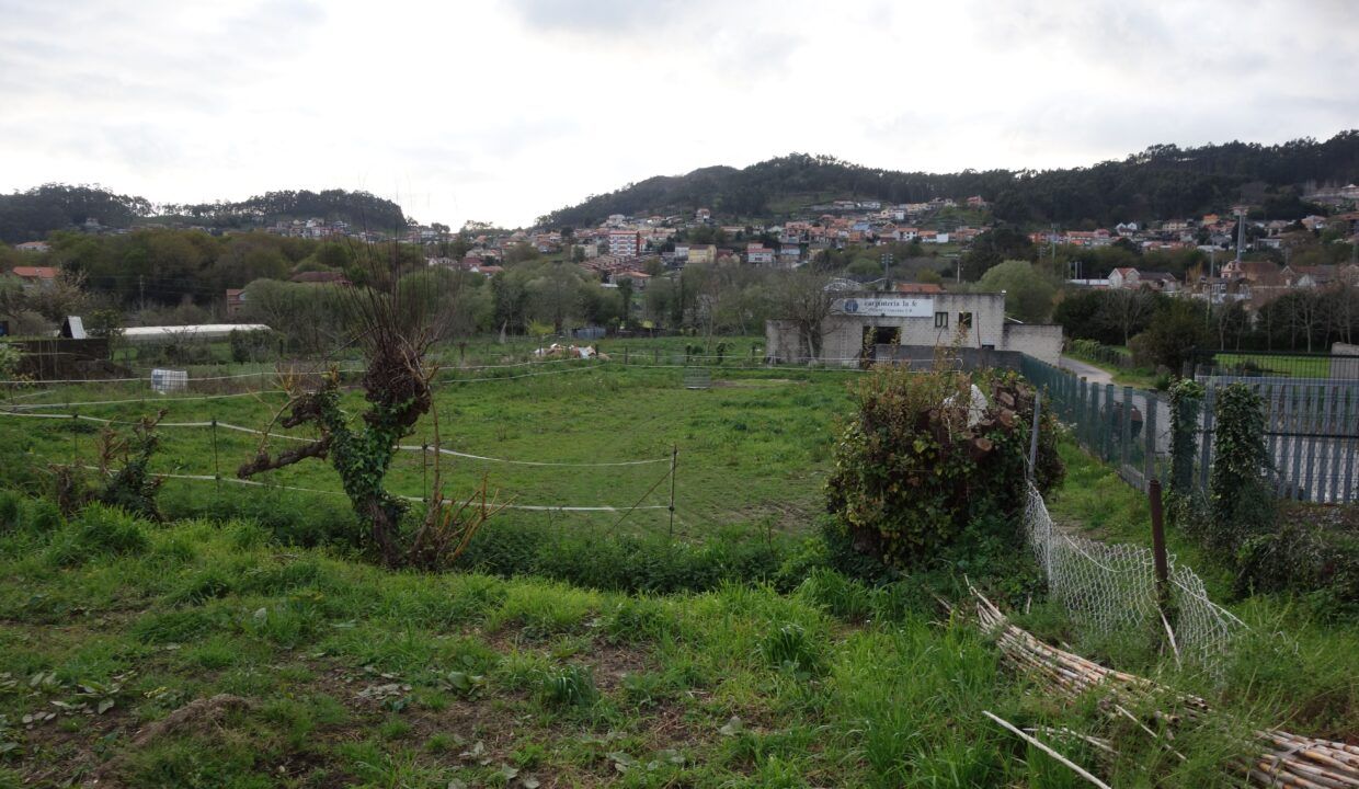 DSC09018