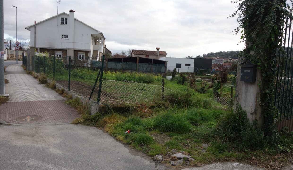 DSC09019