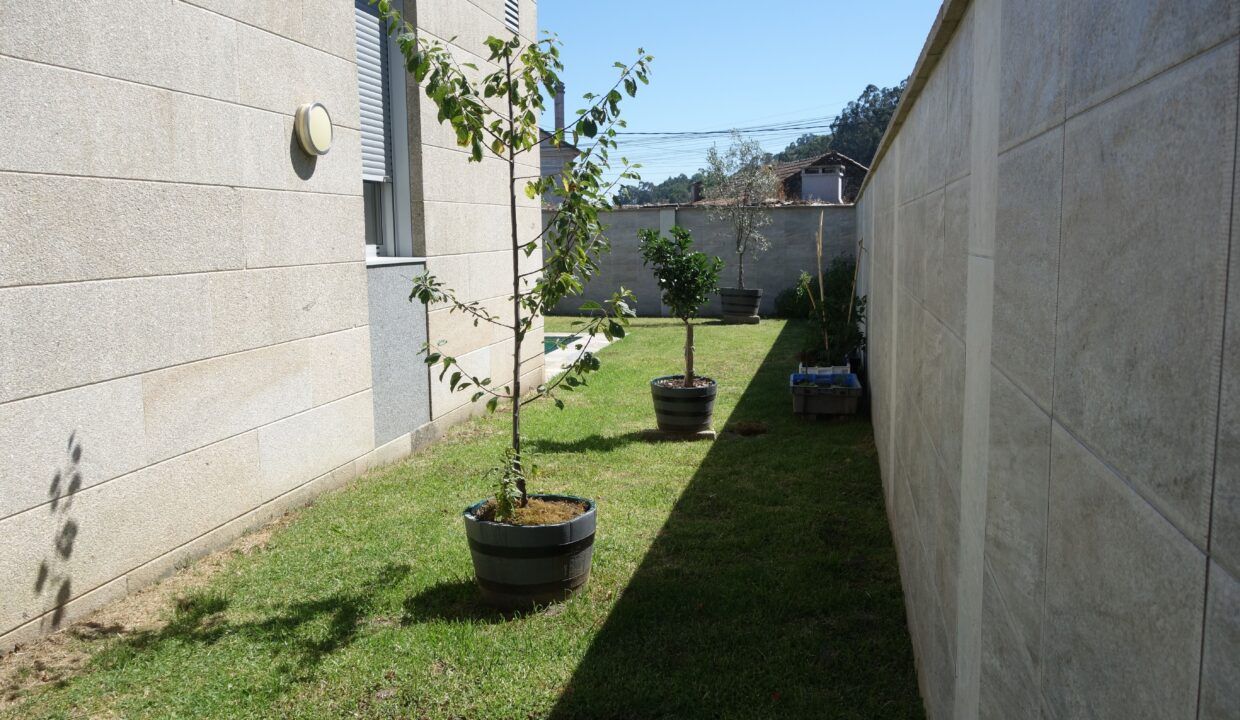 DSC09299