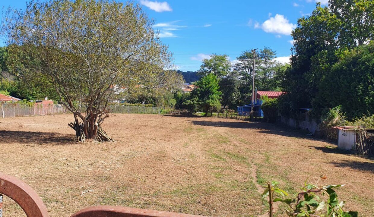 IMG-20260408-WA0029