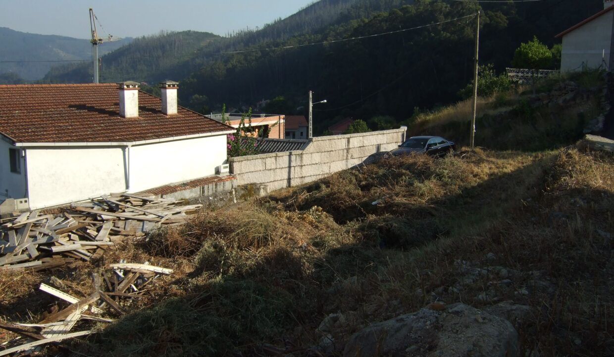 DSCF1990