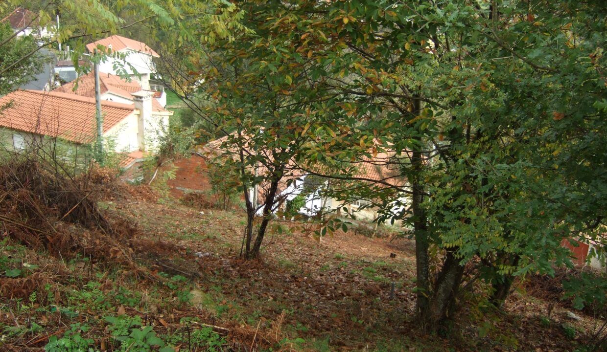 DSCF2550