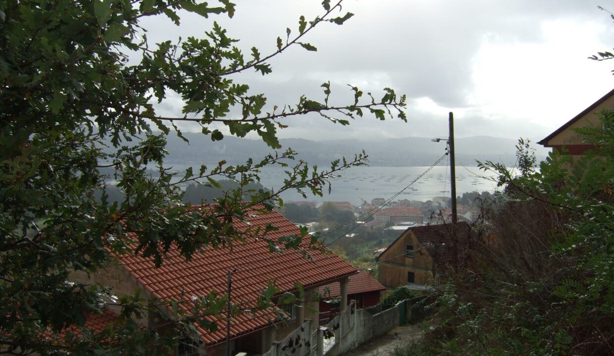 DSCF2552