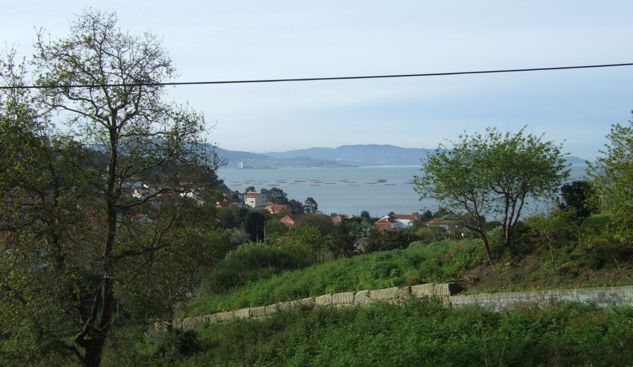 DSCF9933 - copia