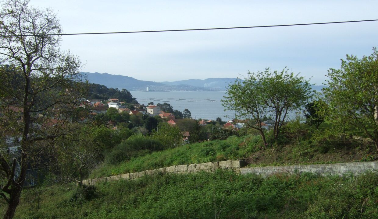 DSCF9935 - copia