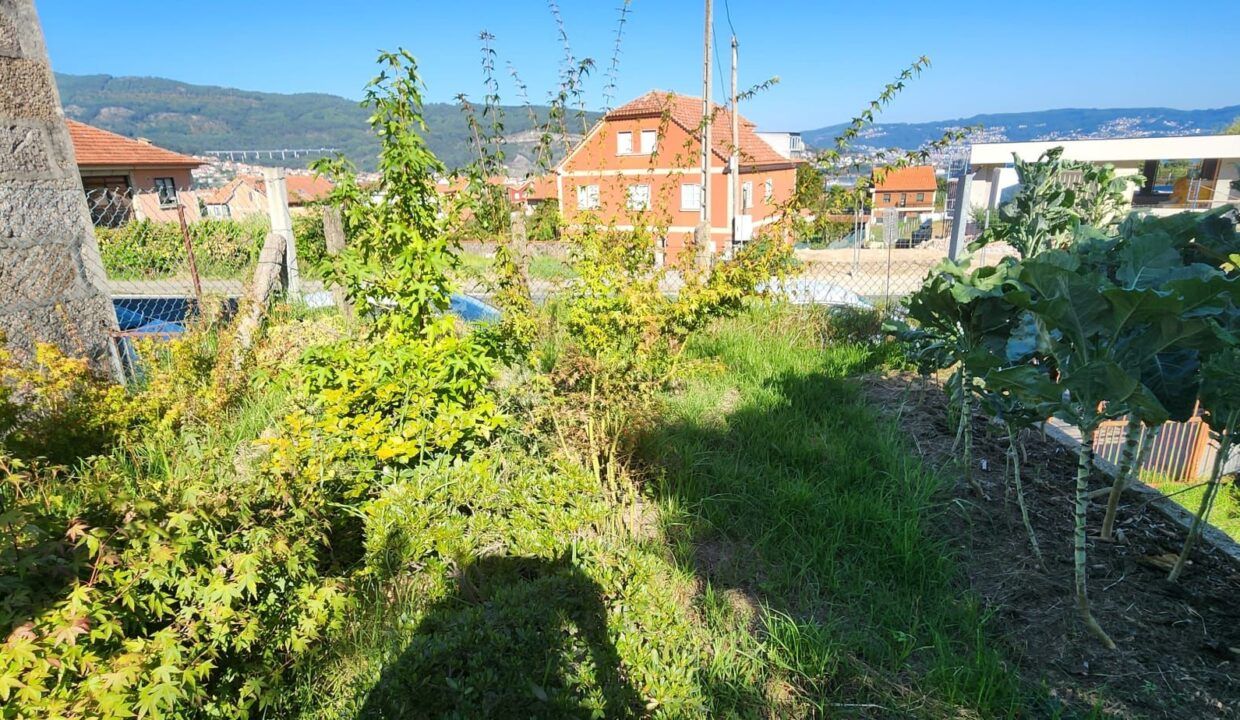 IMG-20260903-WA0002