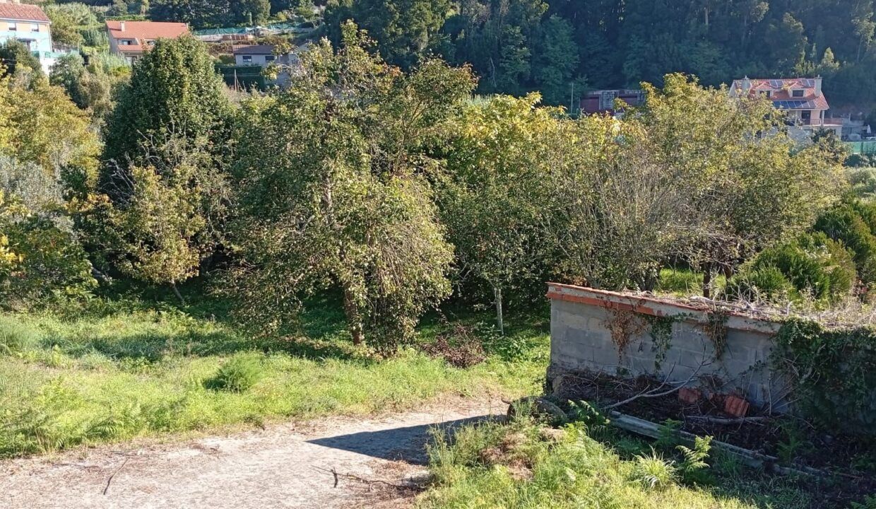 IMG-20260923-WA0011