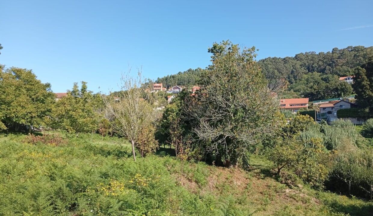IMG-20260923-WA0012