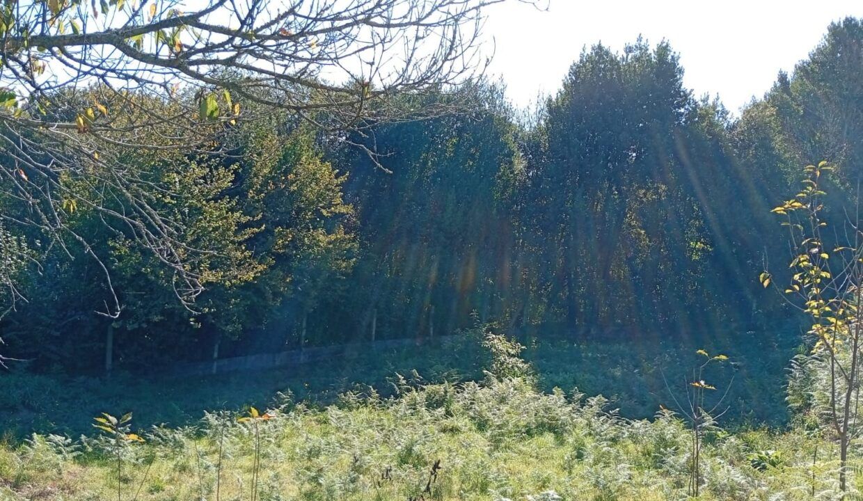 IMG-20260923-WA0013