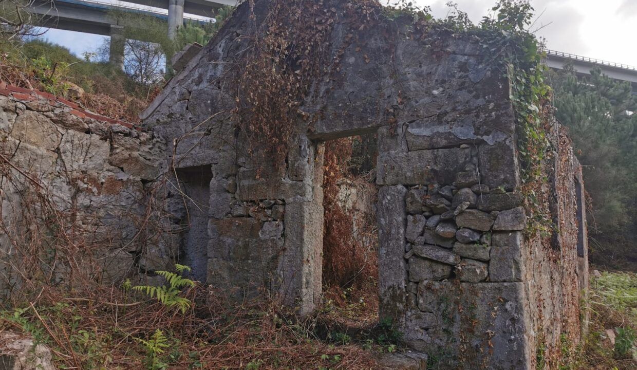IMG-20260929-WA0028