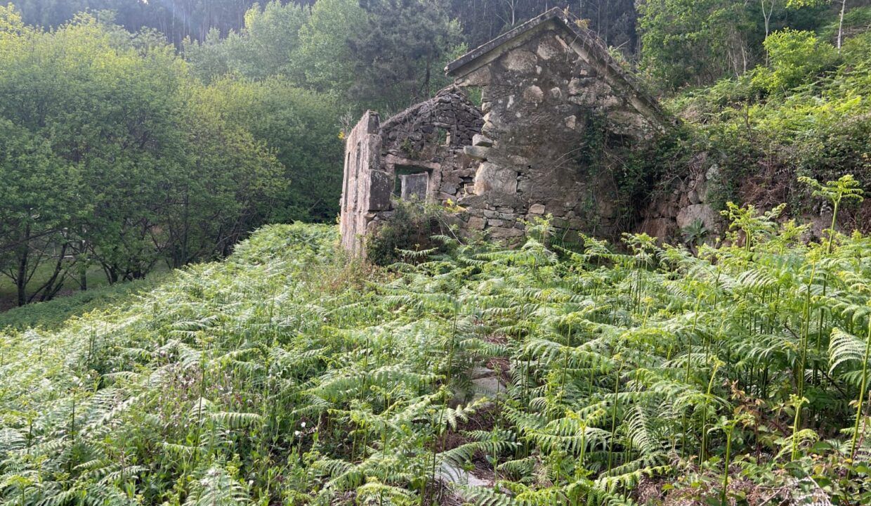 IMG-20260929-WA0032