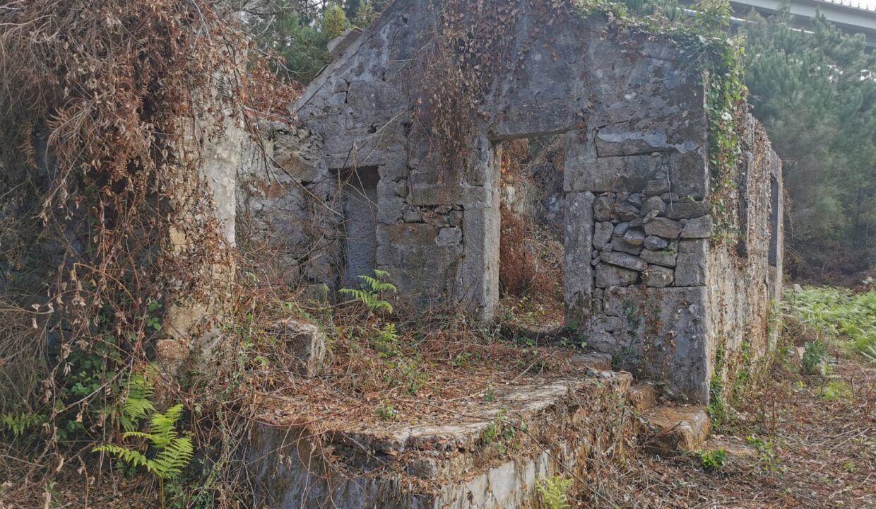 IMG-20260929-WA0038