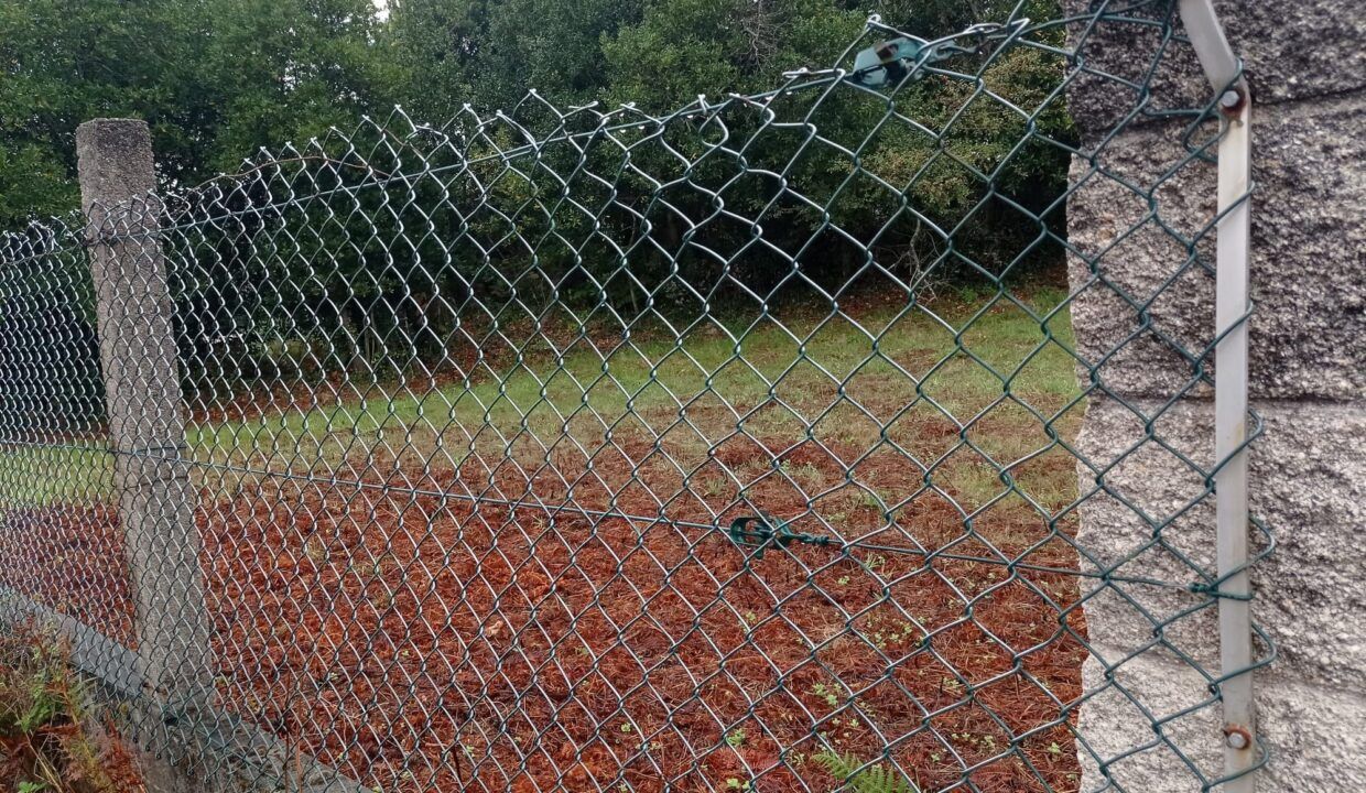 IMG-20261007-WA0036