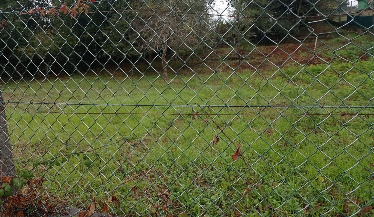 IMG-20261007-WA0038